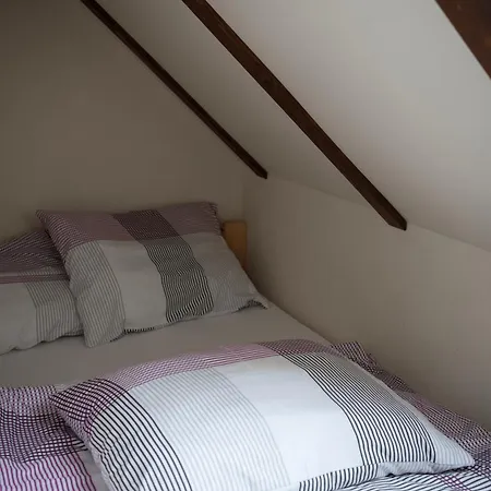 Srub V Odeři * Hroznetin